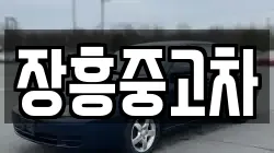 장흥중고차