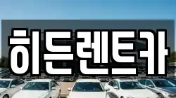 전라남도 함평군 함평읍 렌트카,단기렌트카,장기렌트카,중고차,중고차매매,중고차매입