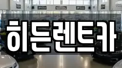 전라남도 함평군 렌트카,단기렌트카,장기렌트카,중고차,중고차매매,중고차매입