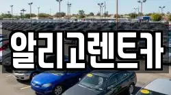알리고렌트카