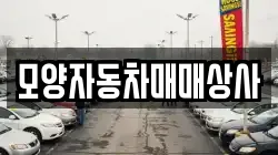 모양자동차매매상사
