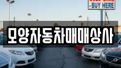 모양자동차매매상사