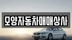 모양자동차매매상사