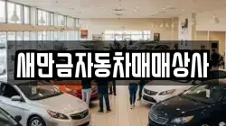새만금자동차매매상사