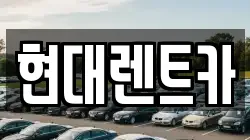 전북특별자치도 군산시 개정면 렌트카,단기렌트카,장기렌트카,중고차,중고차매매,중고차매입