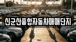 신군산종합자동차매매단지