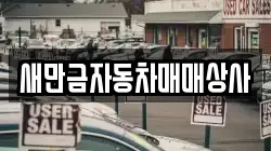 새만금자동차매매상사