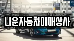 나운자동차매매상사