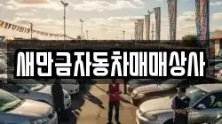 새만금자동차매매상사