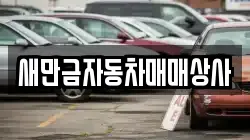 새만금자동차매매상사