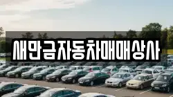 새만금자동차매매상사