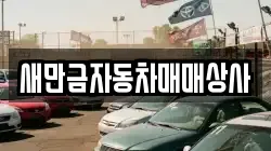 새만금자동차매매상사