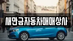 새만금자동차매매상사