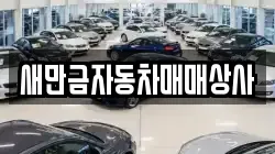 새만금자동차매매상사