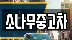 소나무중고차