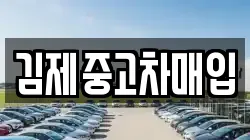 전북특별자치도 김제시 금구면 렌트카,단기렌트카,장기렌트카,중고차,중고차매매,중고차매입