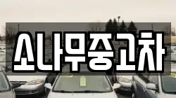 소나무중고차