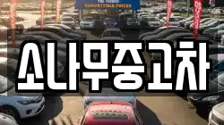 소나무중고차