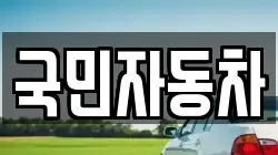 국민자동차