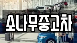 소나무중고차