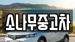 소나무중고차