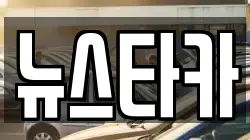 뉴스타카