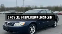 전북특별자치도 무주군 부남면 렌트카,단기렌트카,장기렌트카,중고차,중고차매매,중고차매입