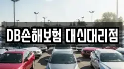DB손해보험 대신대리점