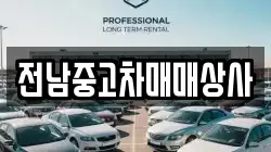 전북특별자치도 부안군 상서면 렌트카,단기렌트카,장기렌트카,중고차,중고차매매,중고차매입