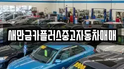 새만금카플러스중고자동차매매