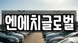 엔에치글로벌