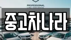 중고차나라