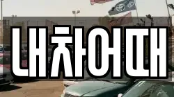 내차어때