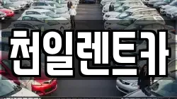 전북특별자치도 익산시 부송동 렌트카,단기렌트카,장기렌트카,중고차,중고차매매,중고차매입