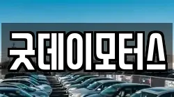굿데이모터스