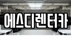 에스디렌터카