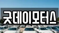 굿데이모터스