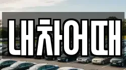 내차어때