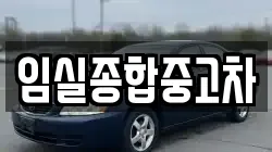 임실종합중고차
