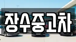 장수중고차