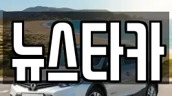 뉴스타카