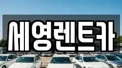 전북특별자치도 전주시 덕진구 고랑동 렌트카,단기렌트카,장기렌트카,중고차,중고차매매,중고차매입