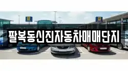 팔복동신진자동차매매단지