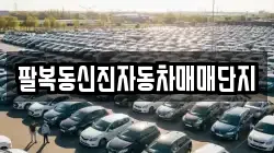 팔복동신진자동차매매단지
