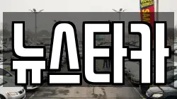 뉴스타카
