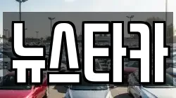 뉴스타카