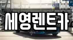 전북특별자치도 전주시 덕진구 여의동2가 렌트카,단기렌트카,장기렌트카,중고차,중고차매매,중고차매입