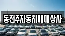 동전주자동차매매상사