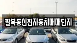 팔복동신진자동차매매단지