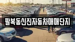팔복동신진자동차매매단지